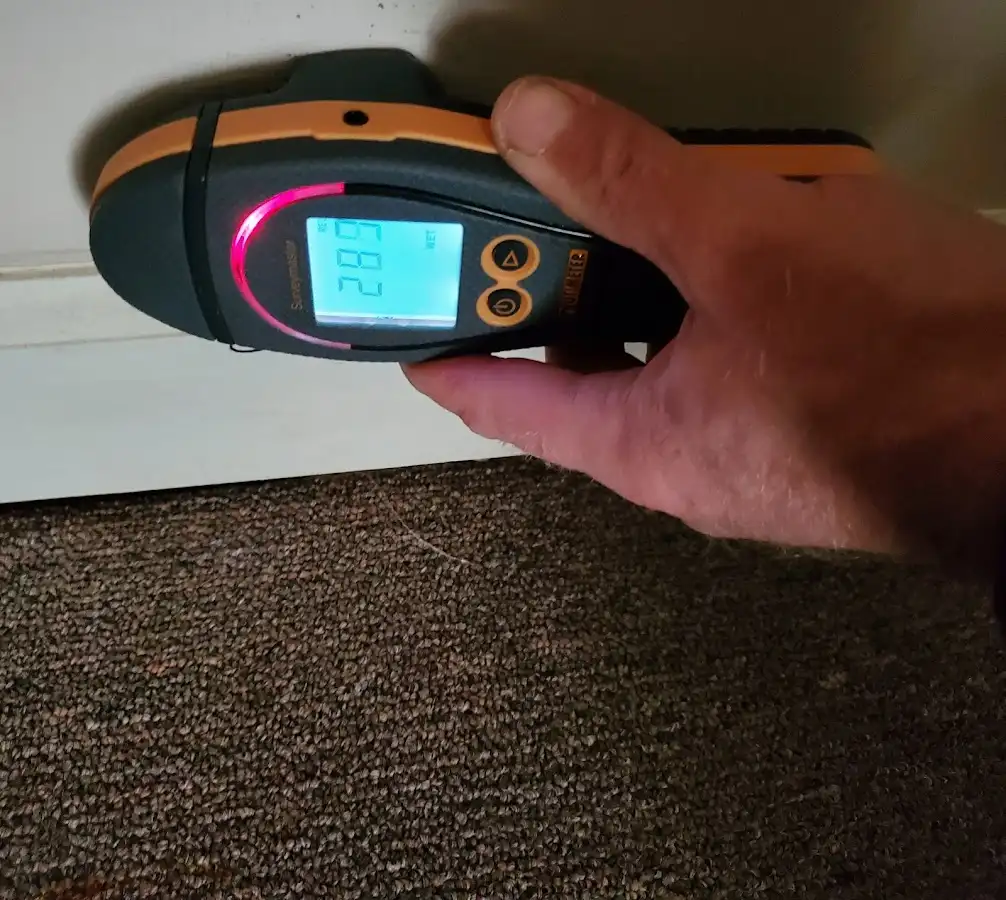 Moisture detection at baseboard during Sewage Cleanup & Sanitation in Rye Brook